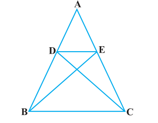 Ncert solutions class 10 chapter 6-19