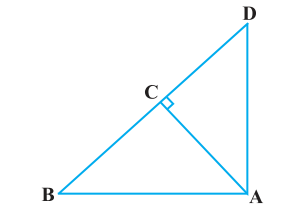 Ncert solutions class 10 chapter 6-42
